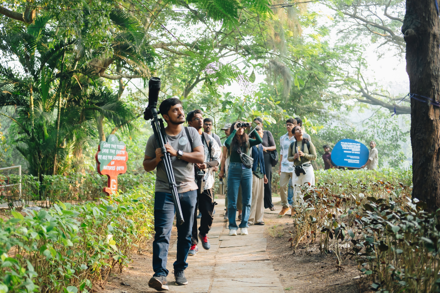 Nature’s Symphony: A Bird Watching Adventure